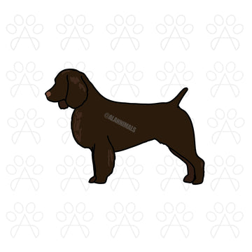 Boykin Spaniel Sticker